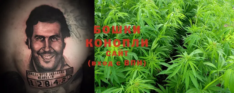 цены   Островной  Шишки марихуана White Widow 